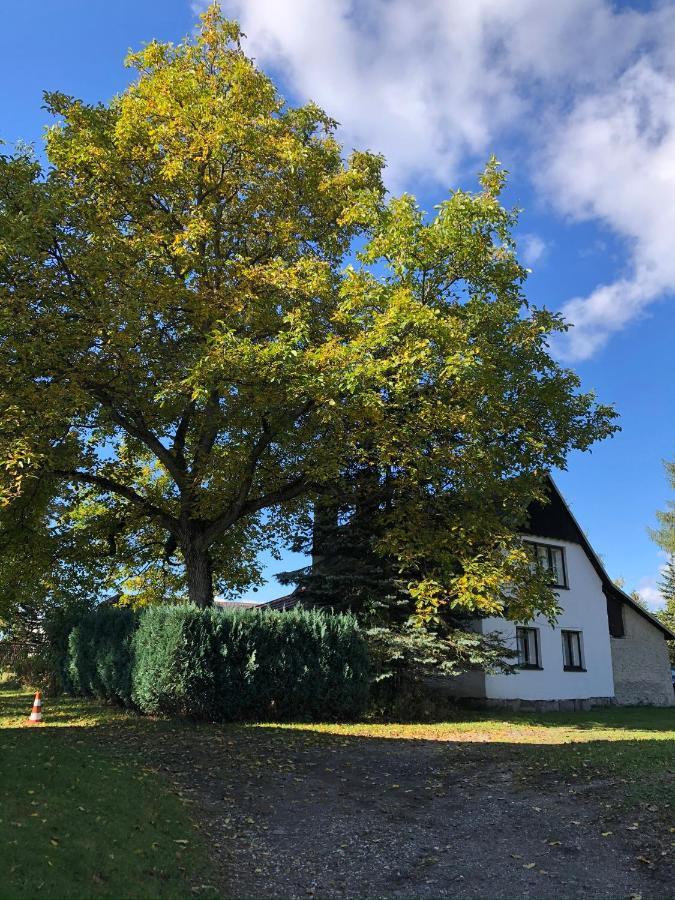 Villa Útulná chaloupka v Krkonoších Vysoké nad Jizerou Exterior foto